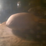 311220111135 311220111135 • <a style="font-size:0.8em;" href="http://www.flickr.com/photos/26384451@N06/6613466993/" target="_blank">View on Flickr</a>