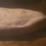 311220111137 311220111137 • <a style="font-size:0.8em;" href="http://www.flickr.com/photos/26384451@N06/6613467951/" target="_blank">View on Flickr</a>